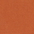 Orange 365